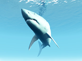 Image showing Undersea Shark 