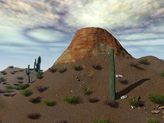 Image showing Desert Landscape