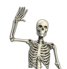 Image showing Skeleton Waving