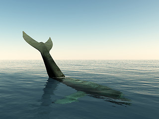 Image showing Whale Tail
