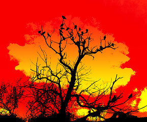 Image showing Orange Sky And Tree Foreground 