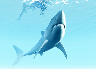 Image showing Undersea Shark 