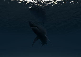 Image showing Undersea Shark 