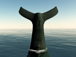 Image showing Whale Tail