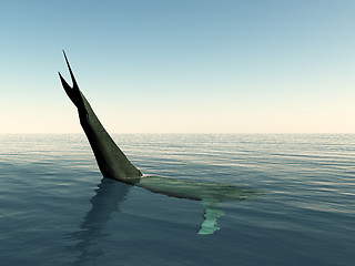 Image showing Whale Tail