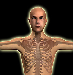 Image showing X Ray Man Torso