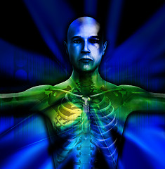 Image showing X Ray Man Torso