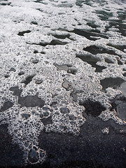 Image showing Bubbles On Water