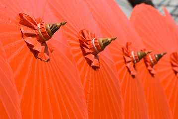 Image showing Orange cotton umbrellas in Thailand