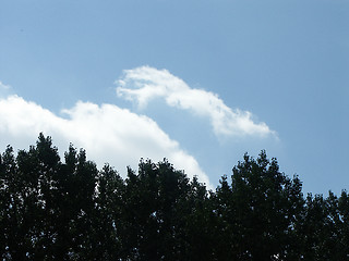 Image showing Unusual Cloud