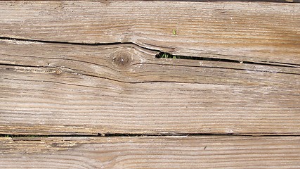 Image showing Wood