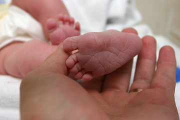 Image showing New born baby foot