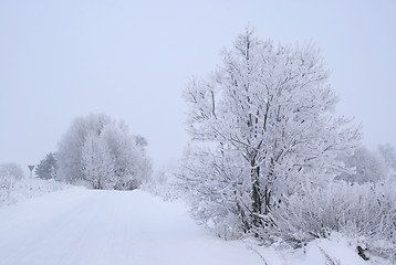 Image showing Frosty Road Landscape