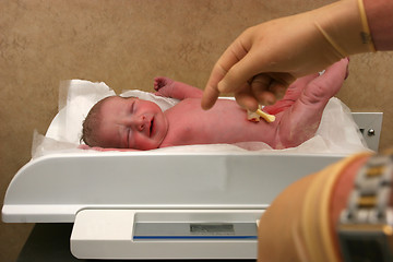 Image showing New born baby being weighed