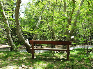 Image showing Bench in the forest. Platania. Cyprus