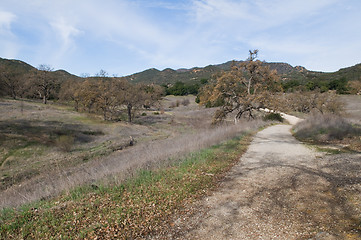 Image showing Trail