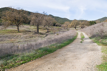 Image showing Trail