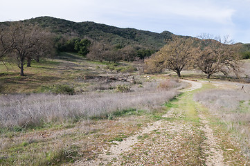 Image showing Trail