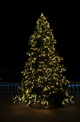 Image showing Christmas tree