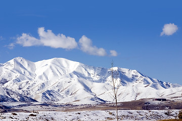 Image showing Mountains in Winter