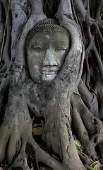 Image showing Ancient buddha head