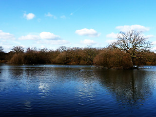 Image showing Hainault Forest Water