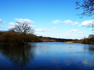 Image showing Hainault Forest Water