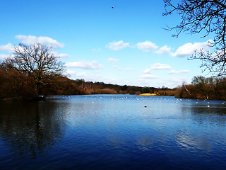 Image showing Hainault Forest Water