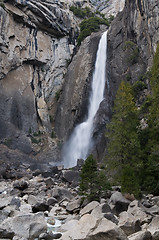 Image showing Yosemite Falls