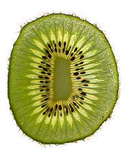 Image showing slice of kiwi 