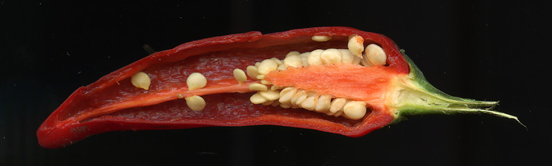 Image showing red hot chili pepper