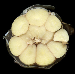 Image showing garlic