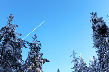 Image showing The plane in the sky