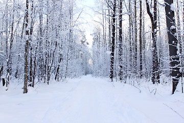 Image showing Panorama of a path 