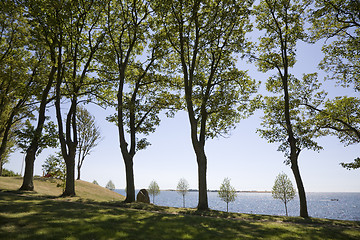 Image showing Summer in Denmark