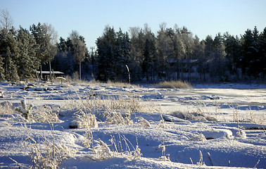 Image showing Winter land