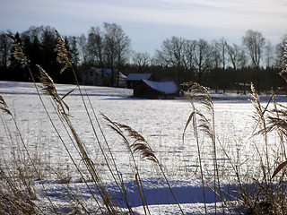 Image showing Barn in the snow