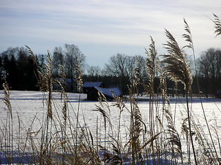 Image showing winter barn