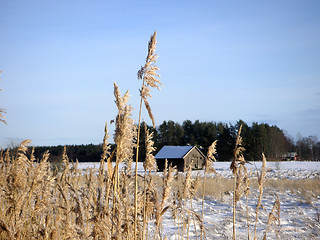 Image showing Winter view