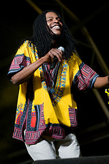 Image showing Womad