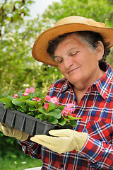 Image showing Senior woman - gardening