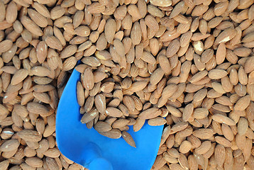 Image showing Almonds And Scoop On The Market