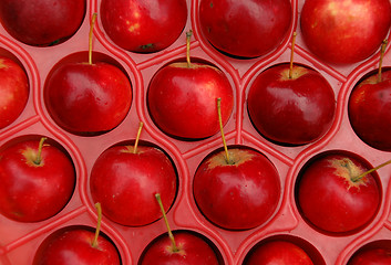 Image showing Apples In The Crate