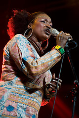 Image showing Womad