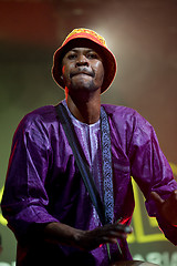 Image showing Womad