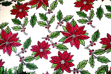 Image showing Poinsettia background