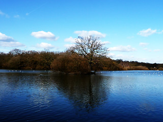 Image showing Hainault Forest Water