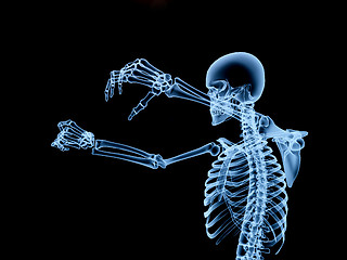 Image showing Xray Skeleton