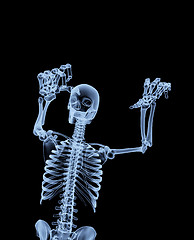 Image showing Xray Skeleton