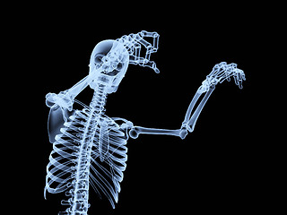 Image showing Xray Skeleton